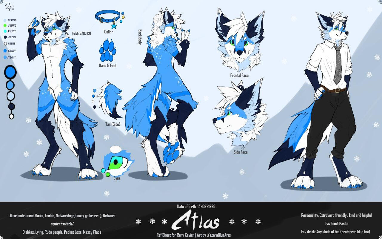 REF SHEET SIMPLE: 60USD**